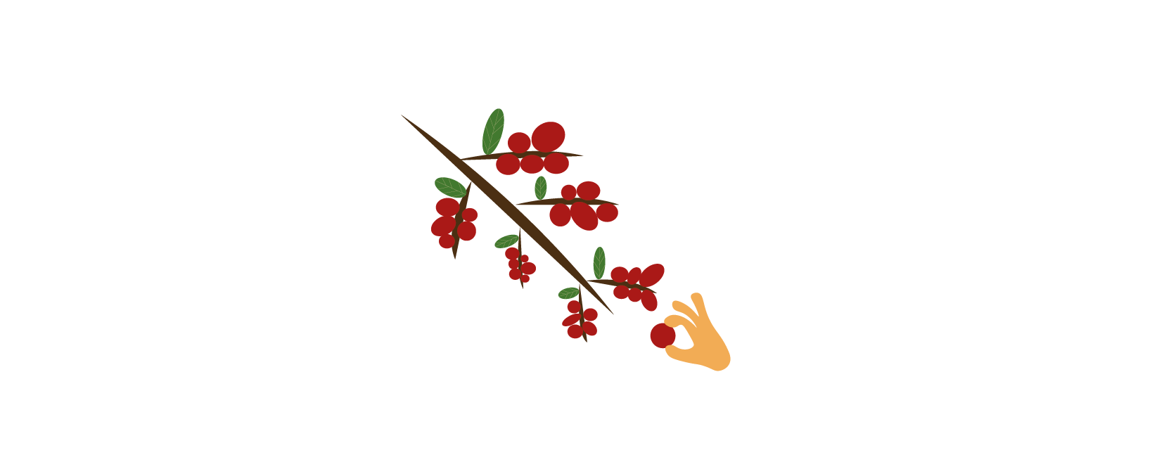 NZ-Harvesting